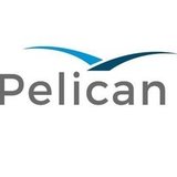 Pelican