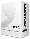 PDF2XL